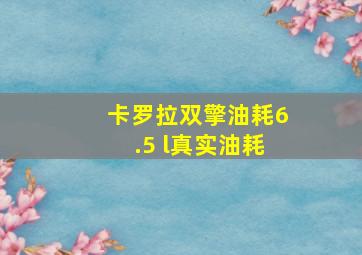 卡罗拉双擎油耗6.5 l真实油耗